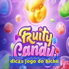 dicas jogo do bicho